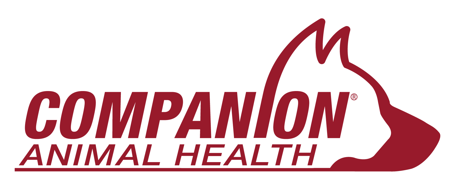 Companion Publications